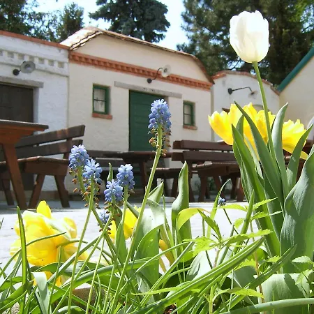 Bed & Breakfast Hanfthal-hof *