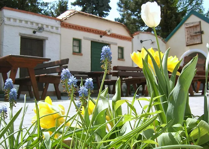 Bed & Breakfast Hanfthal-hof 3*